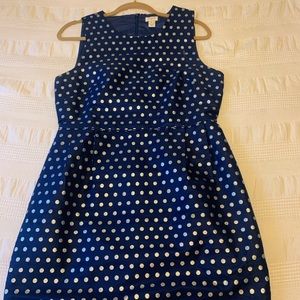Navy polka dot j crew fitted dress size 10
